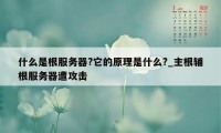 什么是根服务器?它的原理是什么?_主根辅根服务器遭攻击