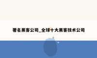 著名黑客公司_全球十大黑客技术公司