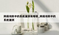 网络攻防中的系统漏洞有哪些_网络攻防中的系统漏洞