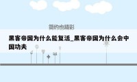 黑客帝国为什么能复活_黑客帝国为什么会中国功夫