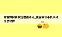 黑客如何截获短信验证码_黑客截获手机网络信息软件