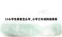 13小学生黑客怎么学_小学三年级网络黑客