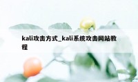 kali攻击方式_kali系统攻击网站教程
