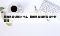 美国黑客组织叫什么_美国黑客组织现状分析最新