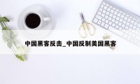 中国黑客反击_中国反制美国黑客