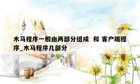 木马程序一般由两部分组成  和 客户端程序_木马程序几部分