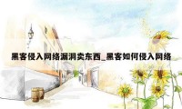 黑客侵入网络漏洞卖东西_黑客如何侵入网络