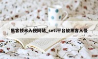 黑客技术入侵网站_setl平台被黑客入侵