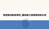 渗透测试前景如何_国内前三渗透测试的公司