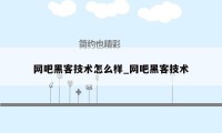 网吧黑客技术怎么样_网吧黑客技术