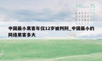 中国最小黑客年仅12岁被判刑_中国最小的网络黑客多大