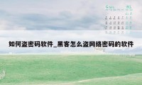 如何盗密码软件_黑客怎么盗网络密码的软件