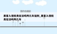 黑客入侵税务犯法吗判几年徒刑_黑客入侵税务犯法吗判几年