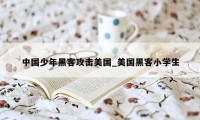 中国少年黑客攻击美国_美国黑客小学生