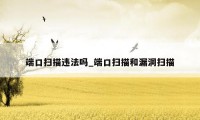 端口扫描违法吗_端口扫描和漏洞扫描