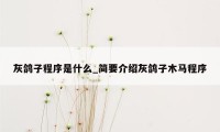 灰鸽子程序是什么_简要介绍灰鸽子木马程序
