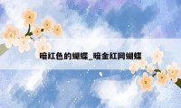 暗红色的蝴蝶_暗金红网蝴蝶