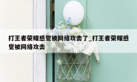 打王者荣耀感觉被网络攻击了_打王者荣耀感觉被网络攻击