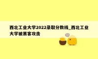 西北工业大学2022录取分数线_西北工业大学被黑客攻击