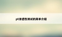 pt渗透性测试的简单介绍