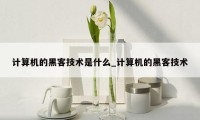 计算机的黑客技术是什么_计算机的黑客技术