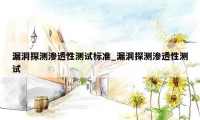 漏洞探测渗透性测试标准_漏洞探测渗透性测试