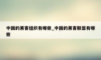 中国的黑客组织有哪些_中国的黑客联盟有哪些