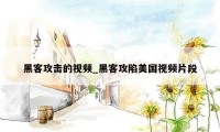 黑客攻击的视频_黑客攻陷美国视频片段