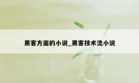 黑客方面的小说_黑客技术流小说