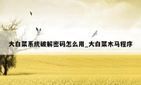 大白菜系统破解密码怎么用_大白菜木马程序