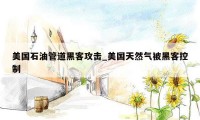 美国石油管道黑客攻击_美国天然气被黑客控制