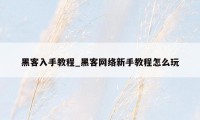 黑客入手教程_黑客网络新手教程怎么玩