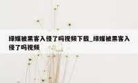 绿媒被黑客入侵了吗视频下载_绿媒被黑客入侵了吗视频