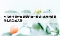 木马程序是什么类型的文件格式_木马程序是什么类型的文件