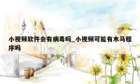 小视频软件会有病毒吗_小视频可能有木马程序吗