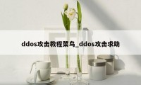 ddos攻击教程菜鸟_ddos攻击求助