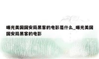 曝光美国国安局黑客的电影是什么_曝光美国国安局黑客的电影