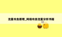 流量攻击原理_网络攻击流量分析书籍
