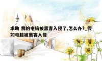求助 我的电脑被黑客入侵了,怎么办?_假如电脑被黑客入侵
