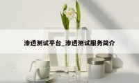 渗透测试平台_渗透测试服务简介