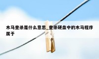 木马查杀是什么意思_查杀硬盘中的木马程序属于