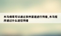 木马病毒可以通过多种渠道进行传播_木马程序通过什么途径传播
