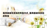服务器被攻击后的恢复方式_服务器被攻击后的恢复