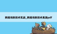 网络攻防技术实战_网络攻防技术吴灏pdf