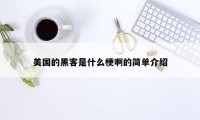 美国的黑客是什么梗啊的简单介绍