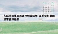 东航坠机美国黑客视频最新版_东航坠机美国黑客视频最新