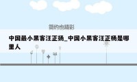 中国最小黑客汪正扬_中国小黑客汪正杨是哪里人