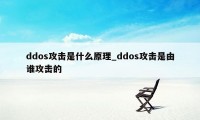 ddos攻击是什么原理_ddos攻击是由谁攻击的