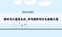 被木马入侵怎么办_木马程序为什么会被入侵