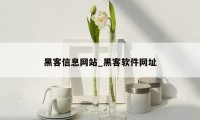 黑客信息网站_黑客软件网址